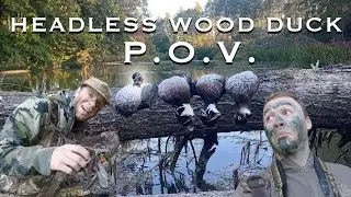 P.O.V.- HEADLESS WOOD DUCK