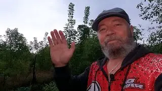Славянск. 13 сентября 2024г. Утро.