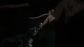 Lithomorph  