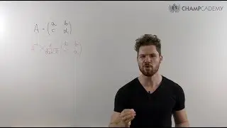 2x2 Matrix INVERSE in Sekunden!