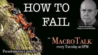 How to Fail - Macro Talk #60 - from Allan Walls Photography, September 12, 2023