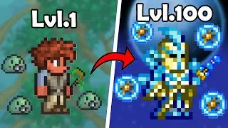 This Terraria Mod Lets You Level Up...
