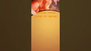 ура #minecraft #shortvideo #тренд #gaming #memes #реки #мем #подпишись