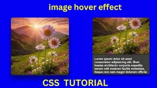 slide image on hover css effect with source code