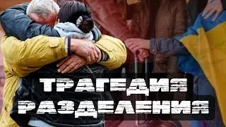 ⚡️ЕРМОЛАЕВ: СКОЛЬКО УКРАИНЦЕВ ВЕРНЕТСЯ? БУДЕТ ГРАЖДАНСКАЯ ЛЮСТРАЦИЯ?!