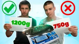 УГАДАЙ ВЕС или СТРАДАЙ ЧЕЛЛЕНДЖ