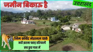 Land for sale |  बीघा जमीन बिकाऊ है   jim corbett National park Chunakhan  के पास  | उत्तराखंड में