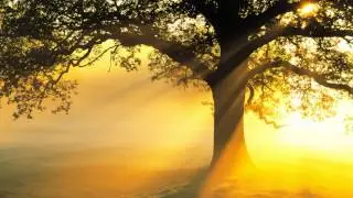 Arise