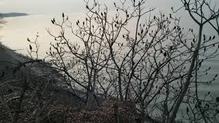 Lake Erie.12.10.2021