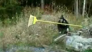 STUPID WITCH BITCH  -(R)