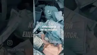 24 апреля 2024 г.