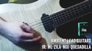 NUX MG 300-MG30 / VALETON GP 100 / MooerGE / Hotone Ampero / ZOOM Cabinet Impulse Response Zila Cab