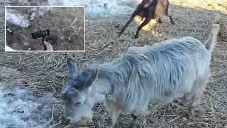 13.03.24г. Снимаю на две камеры: GoPro и Телефон