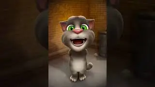 Muwik avjida voy bini qara