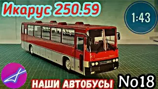 Икарус-250.59 