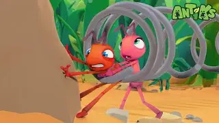 Spring Fever | Funny Cartoons For All The Family! | Funny Videos for kids | ANTIKS