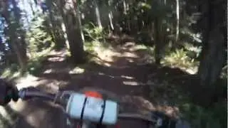 Southwelly/Cbar ridge trail