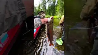 Наша жизнь в тайге🌲