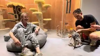 Самое необычное кото-кафе🔥