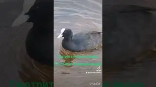 23 квітня 2024 р.