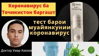 Чихел коронавирусро муйян кунем? Экспресс тестхо барои коронавирус