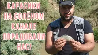 Караси порадовали нас! Недалеко от города Ташкента!