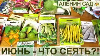 ИЮНЬ Что ещё можно посеять в июне?