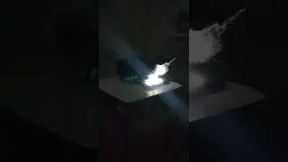 Ласточка, иди сюда спать 