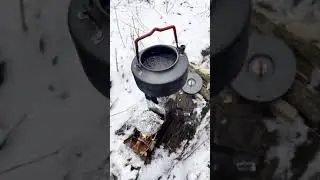 Cooking in the forest. I'm making tea with my new portable stove.