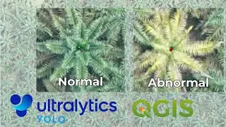 Oil Palm Tree  Classification QGIS Plugin