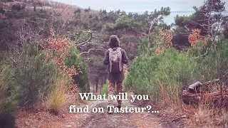 What will you find on Tasteur?