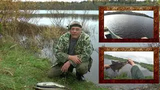 Крутая рыбалка на канале  Чешуя !!!