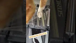 Wow, even my cat can do this!! | AORUS India #goelite #shorts