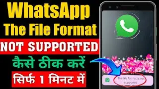 How to fix whatsapp this file format is not supported problem 2025 | WhatsApp Status Problem Solved