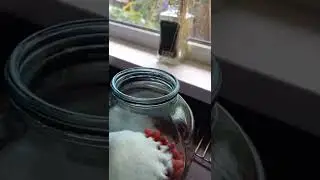 Рецепт компота из малины.#рецепткомпотаизмалины