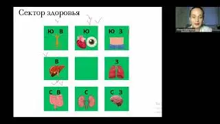 Сектор здоровья. Часть 2.