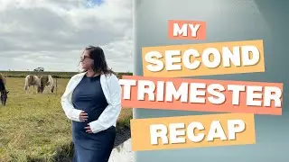 SECOND TRIMESTER PREGNANCY RECAP | Symptoms, BodyChanges, Babymoon #secondtrimester #pregnancy