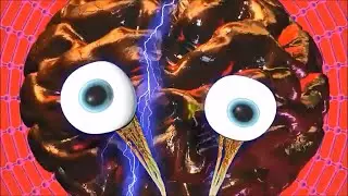 Million Dollar Extreme Brain Logo