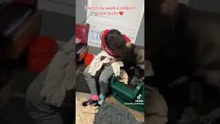 #animal
