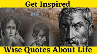 Wise QuotesThat Will Inspire You to Success in Life Get inspired