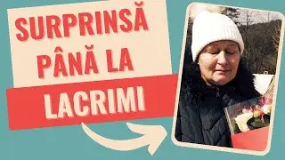 Surprize la domiciliu trimise din Germania