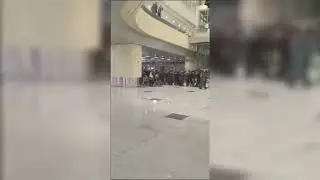 Депортация нелегальных мигрантов в Домодедово