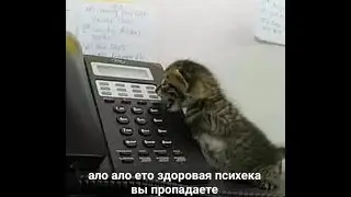 [Аллоды Онлайн] арка 6х6