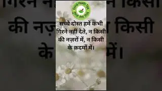 Modivation Speech ! A True Friend Is Like God !