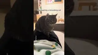 never commit this one mistake...