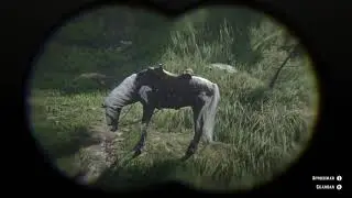 O MELHOR cavalo do Red Dead 2! Como Pegar o Missouri Fox Trotter