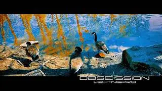 IPHONE 11 PRO MAX  (video test ) 242 bronx ny