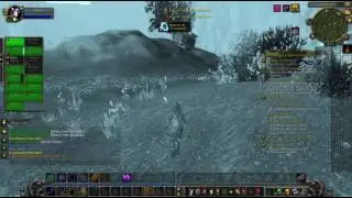 Shaman a Health of World of Warcraft  Owing Alliance