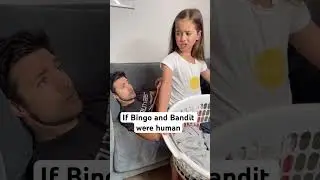 If the Heeler family were humans🤣 #bluey #blueybingo #funnyshorts
