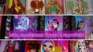 Коллекция кукол в коробках. Мои куклы НРФБ. Не распакованные куклы в коллекции.